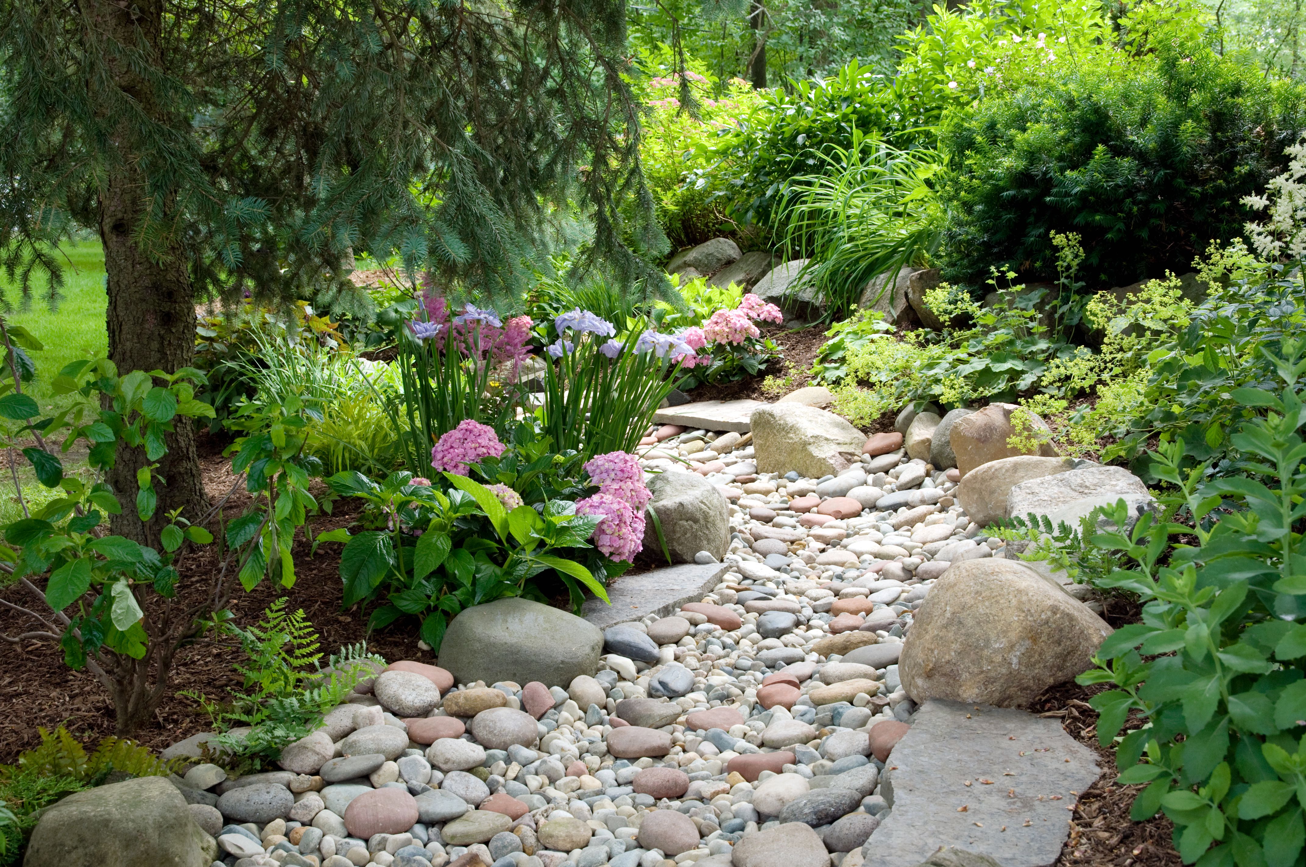 A curving dry creek bed made of river rocks running through a front yard planting bed