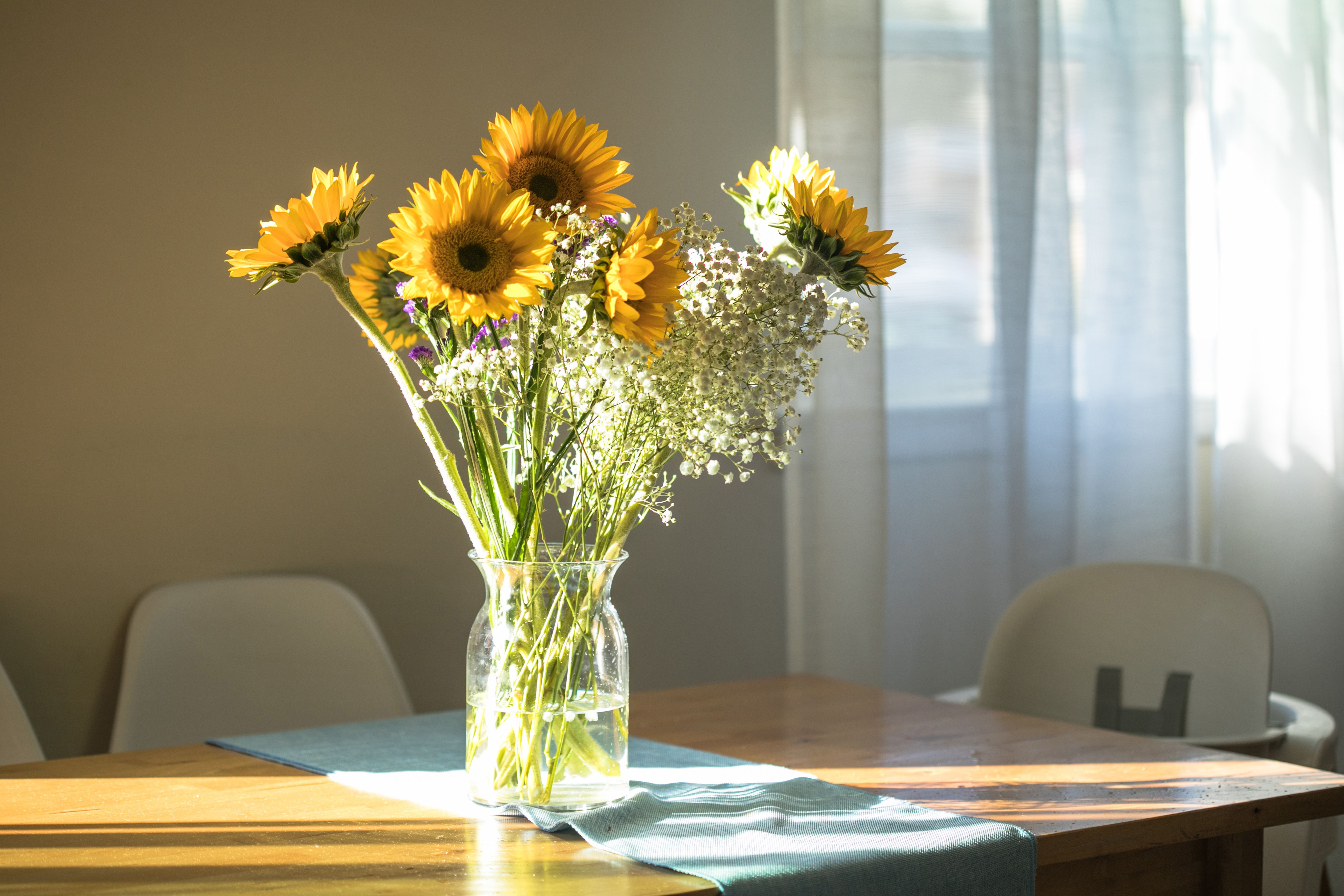 A photorealistic indoor photo of a simple glass vase holding freshly cut sunflowers on a wooden kitchen table near a bright window, with natural light and a cozy, homey feel