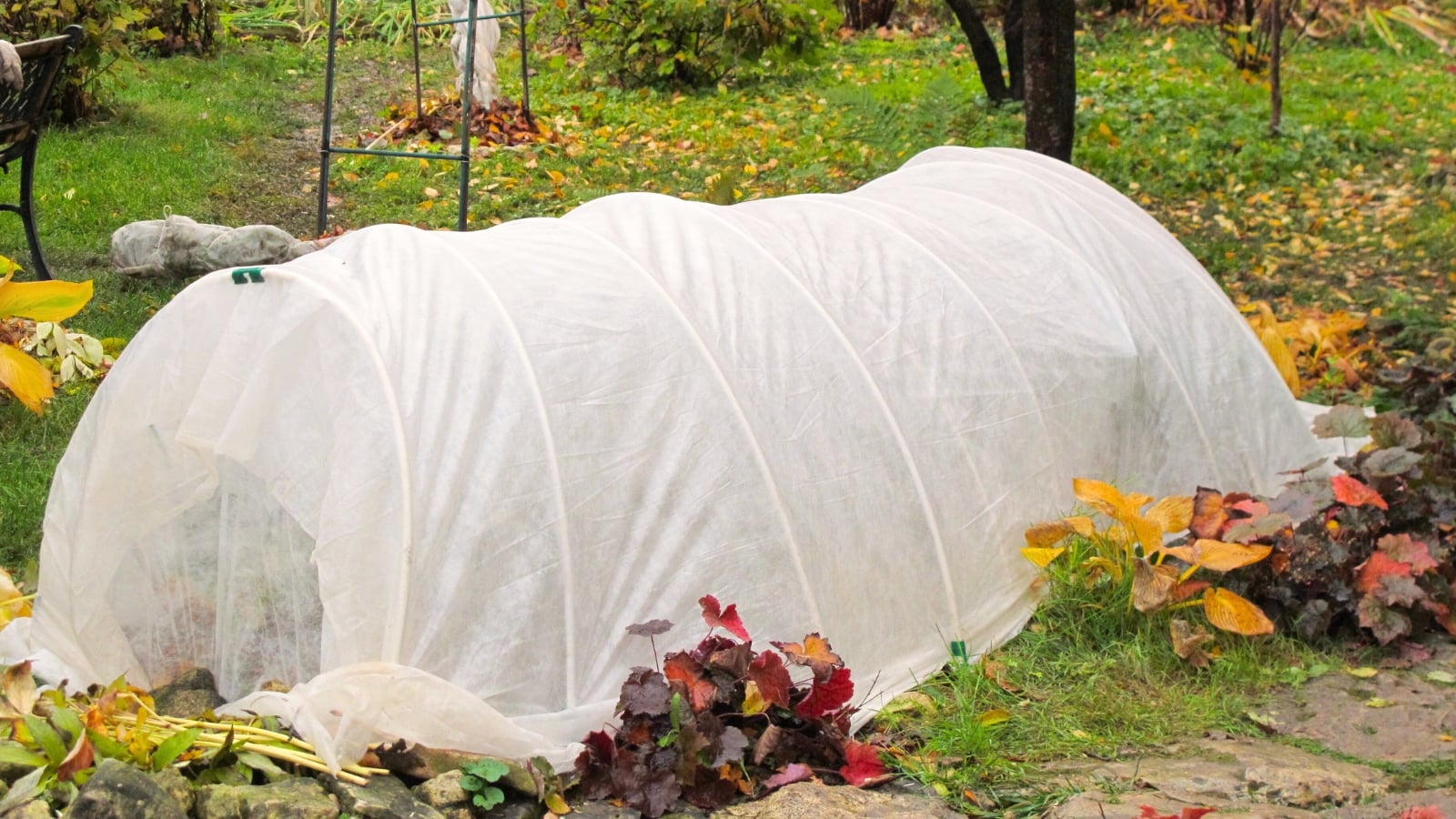 A real garden row in late fall with metal hoops supporting a white fabric row cover over leafy greens