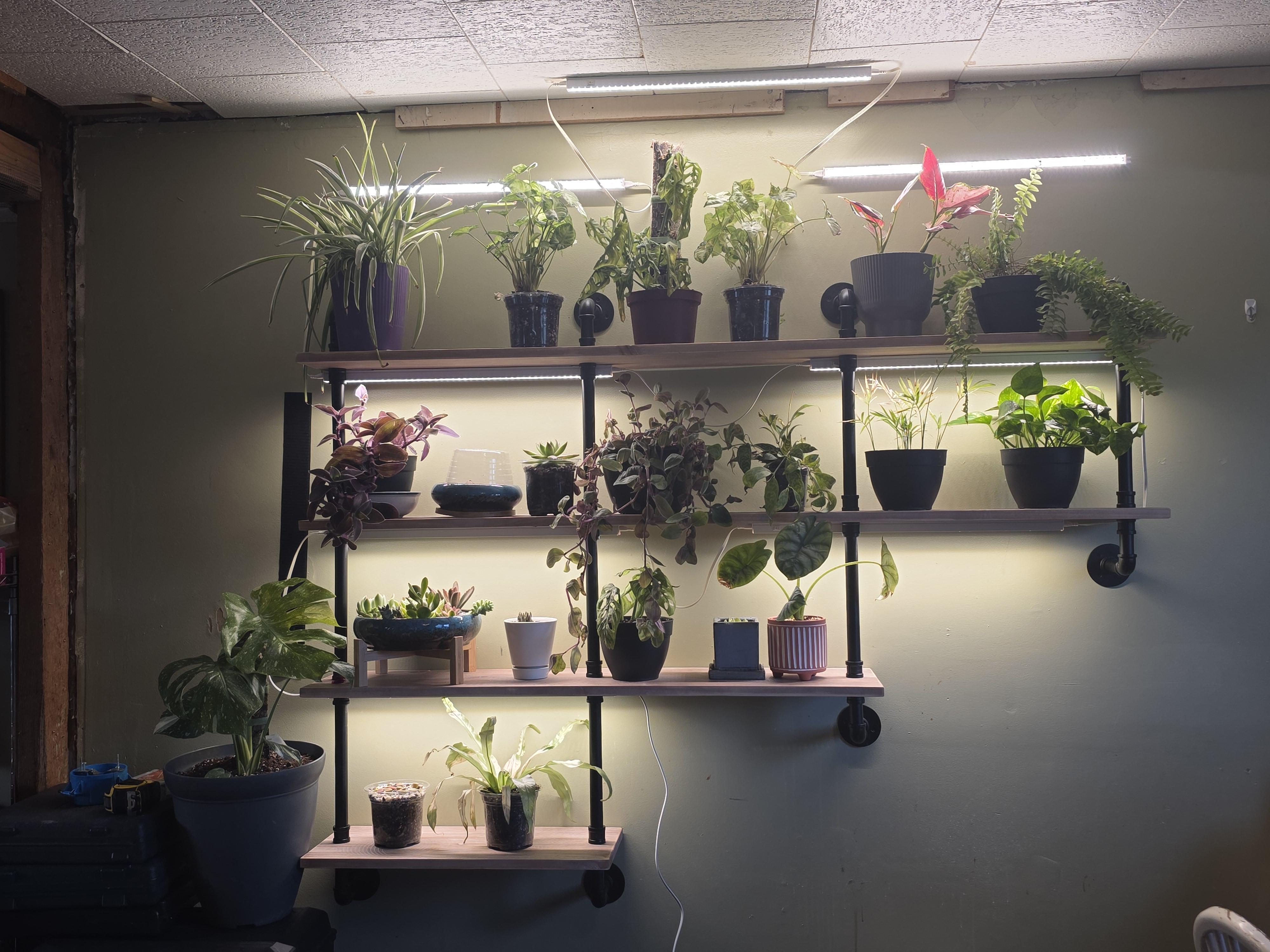 A simple indoor plant shelf with assorted houseplants thriving under two mounted LED grow light bars, evening indoor lighting with a calm, cozy atmosphere, photorealistic