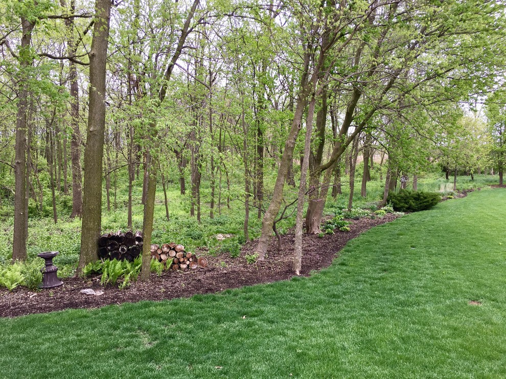 A backyard with a neat border separating a green lawn from a wooded edge, natural photo style