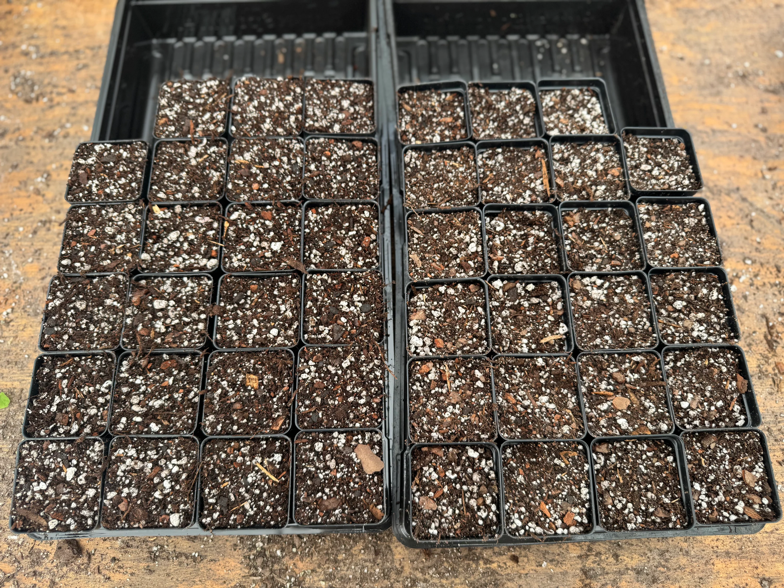 A close-up photo of a chunky aroid soil mix with orchid bark, perlite, and dark potting soil in a potting tray, ready for repotting
