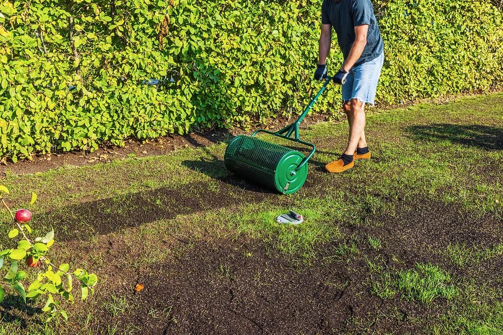 A close-up photo of a gardener's hands scattering grass seed over a lawn patch with a thin layer of compost topdressing