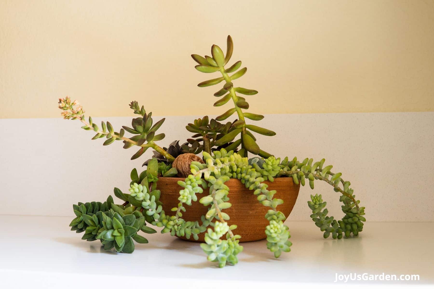 A close up photo of an airy epiphytic cactus potting mix with orchid bark chunks and pumice in a bowl beside an empty nursery pot