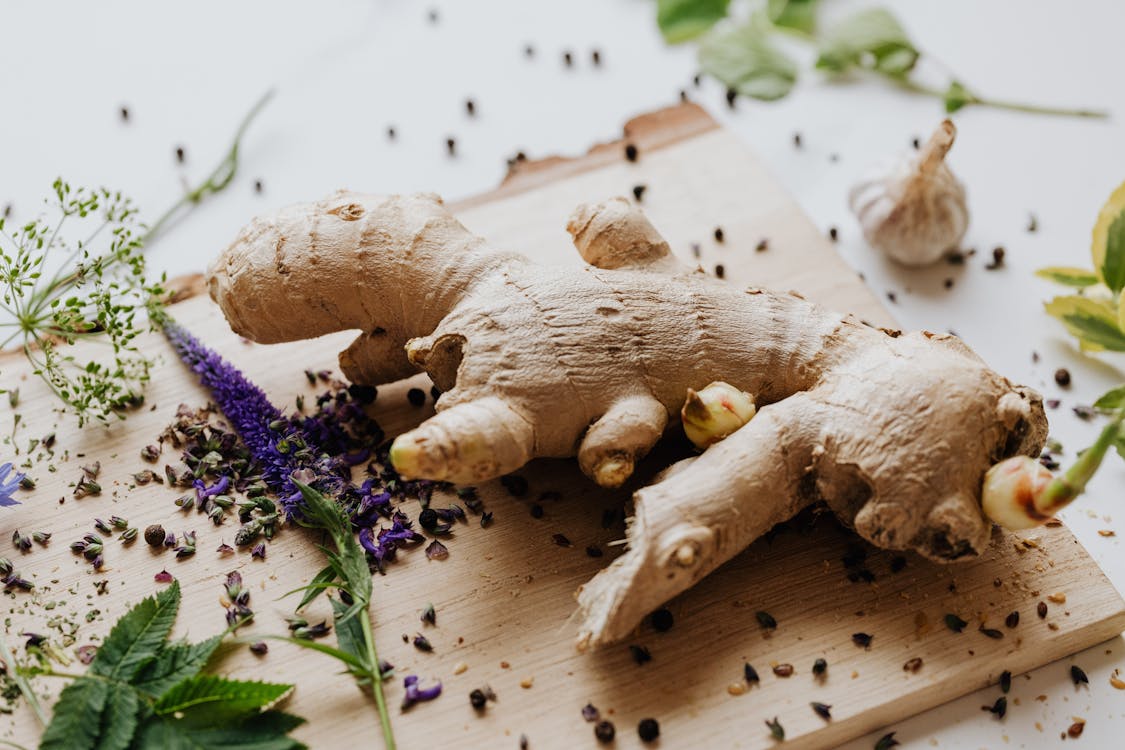 A close up photo of fresh organic ginger rhizomes on a kitchen counter, showing multiple growth buds and smooth skin
