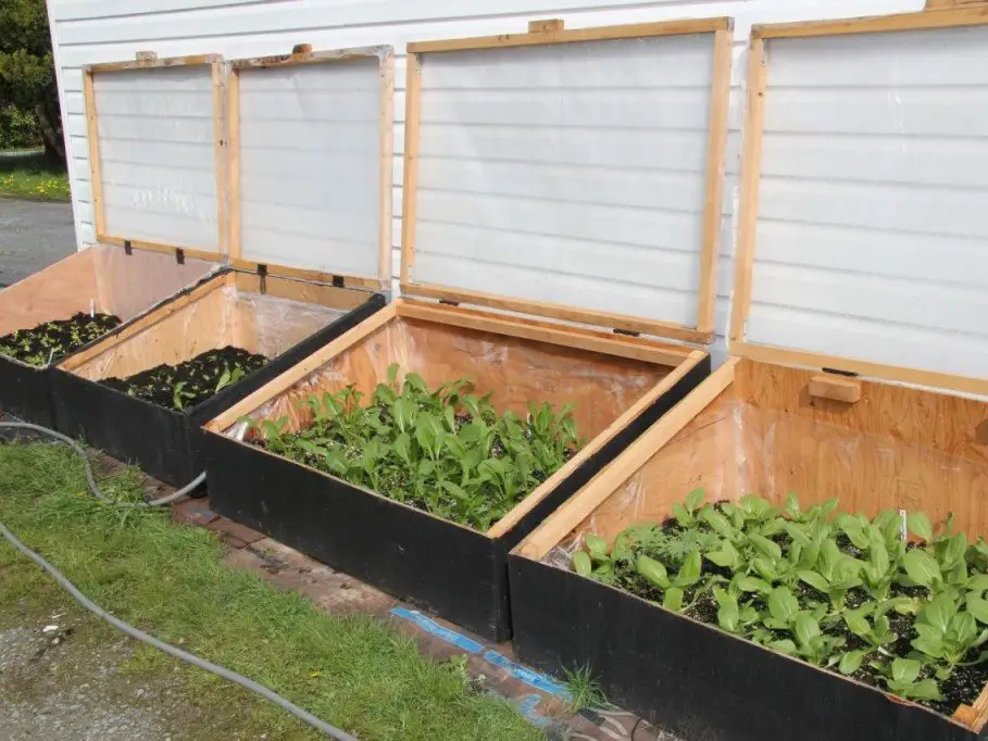 A cold frame positioned on a level garden bed near a wooden fence, angled to face the sun with winter light casting long shadows