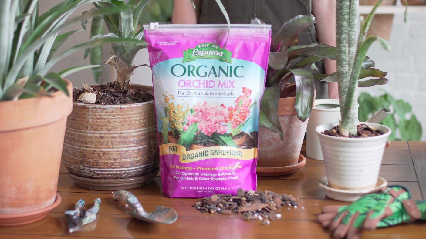 A fast-draining bromeliad potting mix with orchid bark and perlite in a small pot