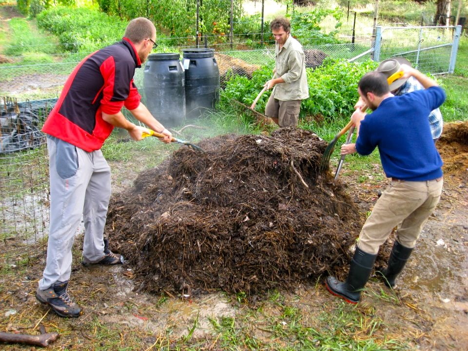 A gardener outdoors turning a compost pile with a pitchfork on a sunny day, showing a mix of brown leaves and green plant scraps, photorealistic