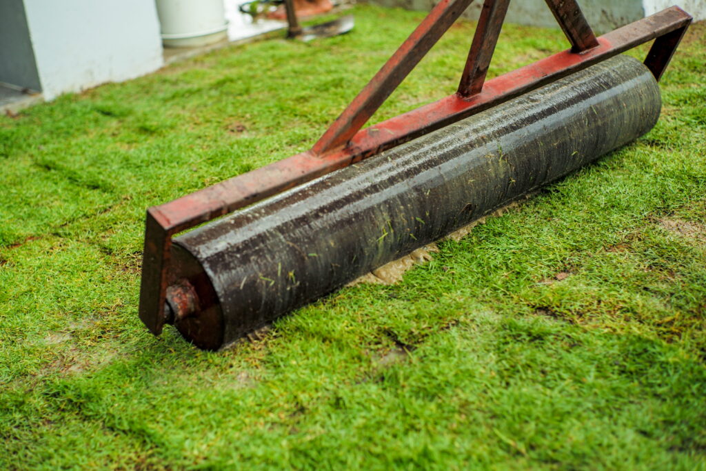 A gardener using a water-filled lawn roller to press down raised tunnels and smooth an uneven lawn surface