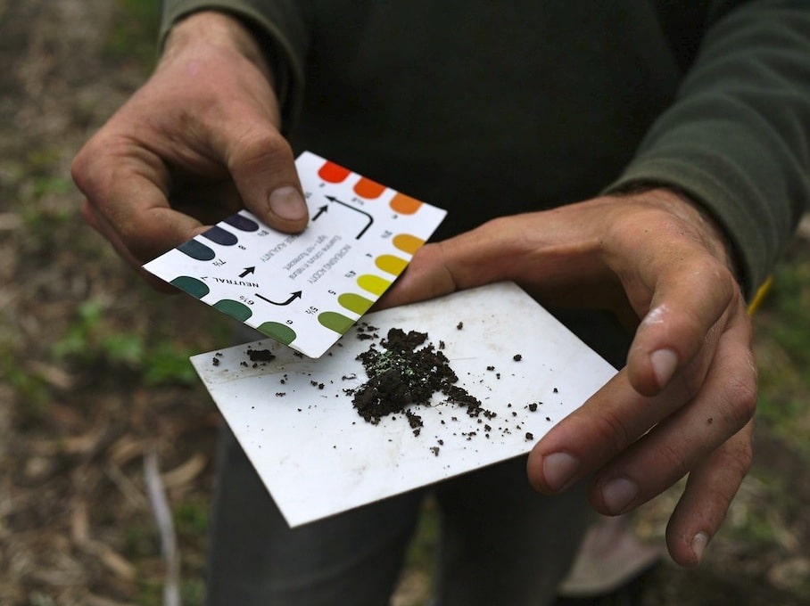 A photograph of a gardener’s hands holding a soil pH test kit next to a small scoop of garden soil on an outdoor potting bench