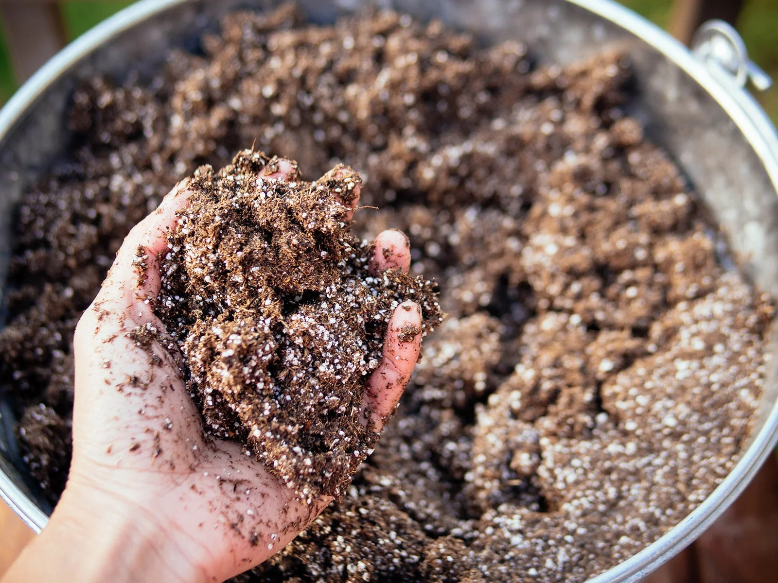 A pot filled with a light perlite and peat moss propagation mix that looks fluffy and slightly moist