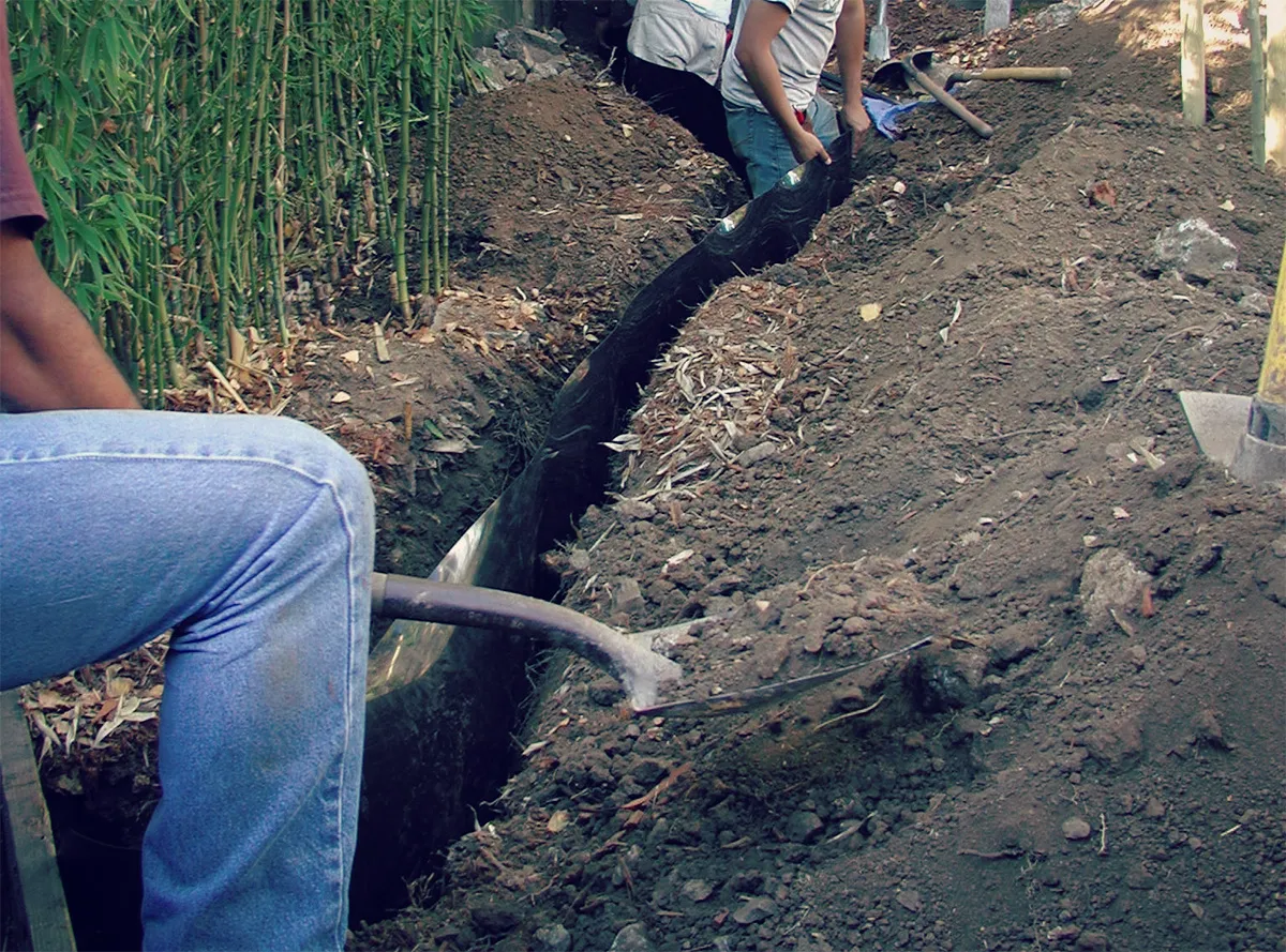 A real-life photo of an HDPE bamboo root barrier being placed into a freshly dug trench along a garden border