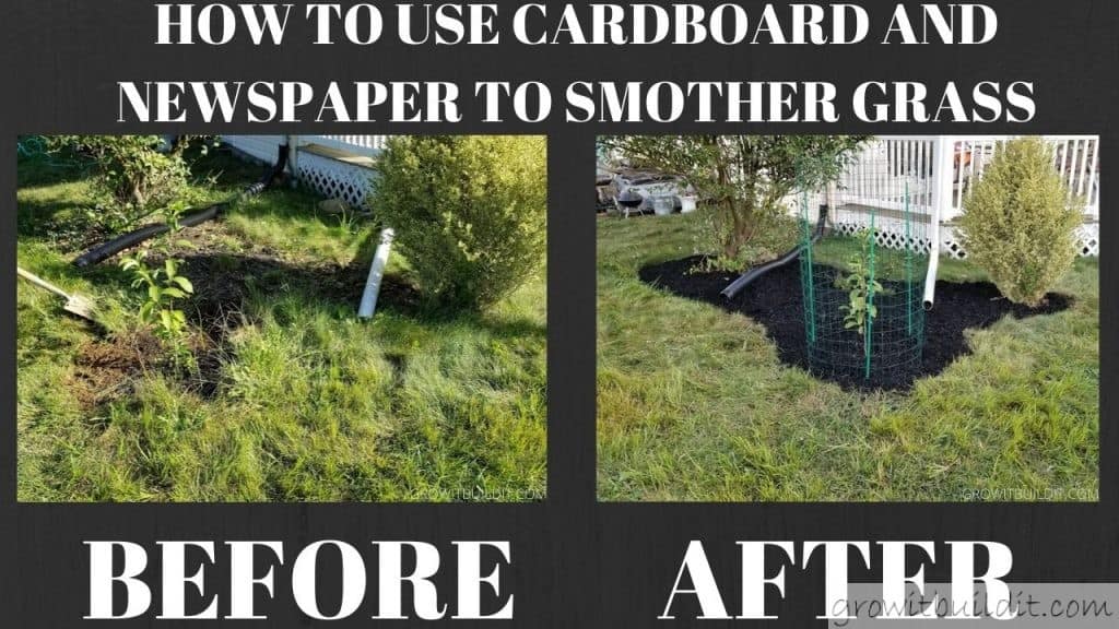 A real photo of a garden bed being smothered with overlapping wet cardboard sheets covered by a thick layer of wood chip mulch
