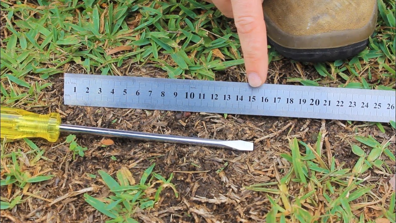 A real photo of a gardener pressing a screwdriver into compacted lawn soil to test how hard the ground is