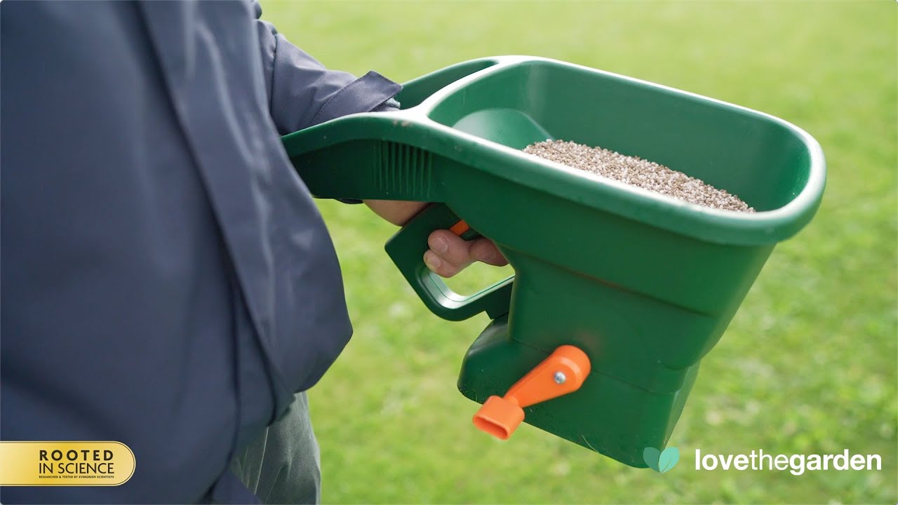 A real photo of a homeowner using a hand spreader to overseed a lawn in early fall with sunlight and trees in the background