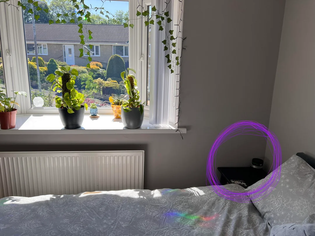 A real photo of a potted Tradescantia Nanouk on an indoor shelf near an east-facing window with bright indirect light and no harsh sunbeams