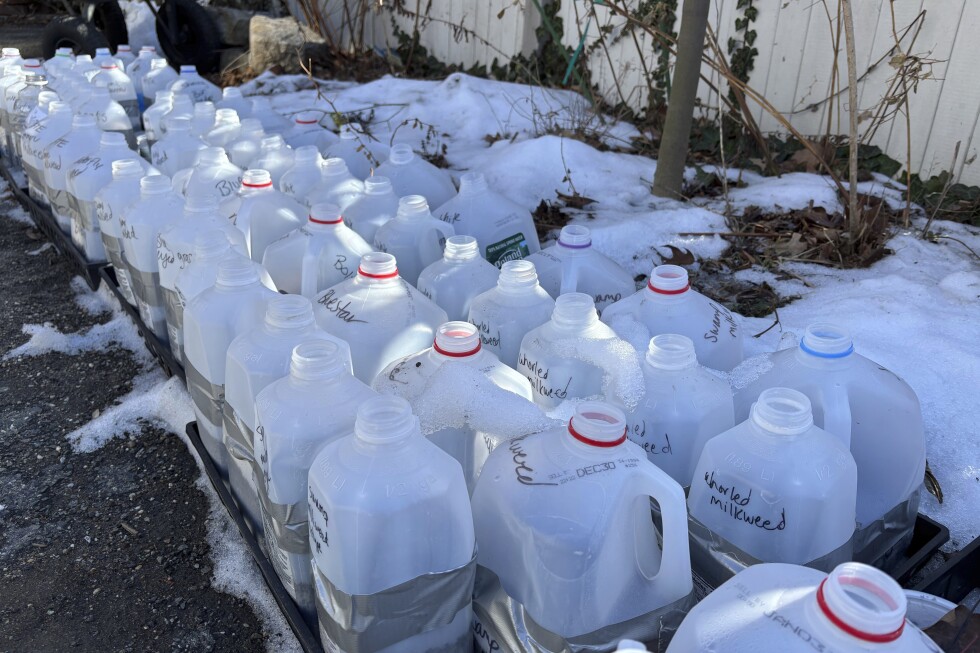 A real photo of a row of labeled milk jugs and clear containers used for winter sowing placed along a wooden fence outdoors on a cold day