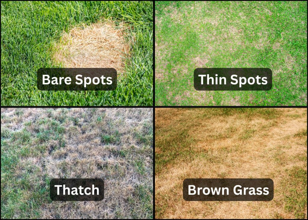 A real photo of hands scattering grass seed over thin bare spots in a lawn during early fall, with a rake and seed bag nearby