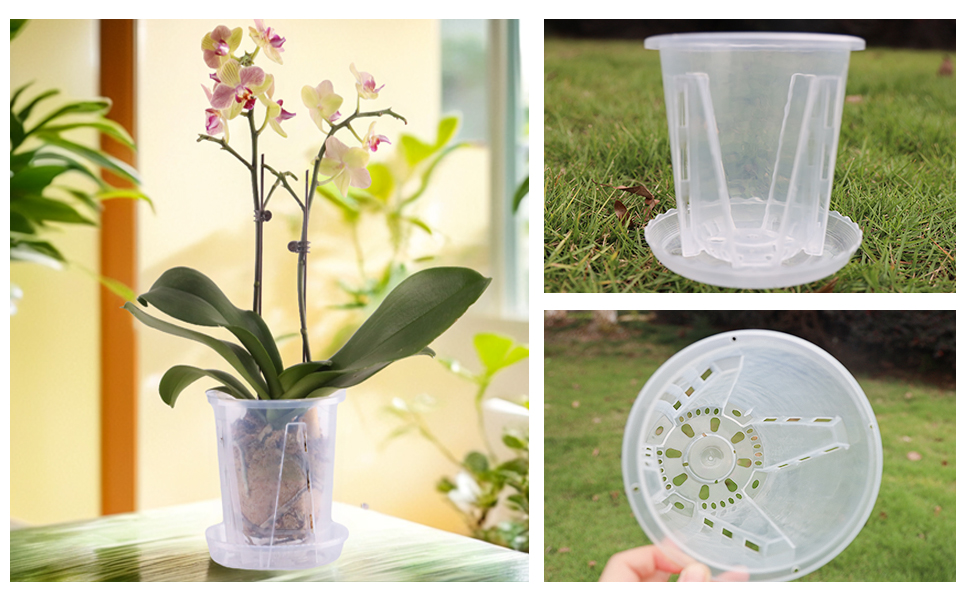 A real photo of small clear orchid pots on a potting table, filled with lightly fluffed sphagnum moss beside orchid snips and a spray bottle in soft natural light
