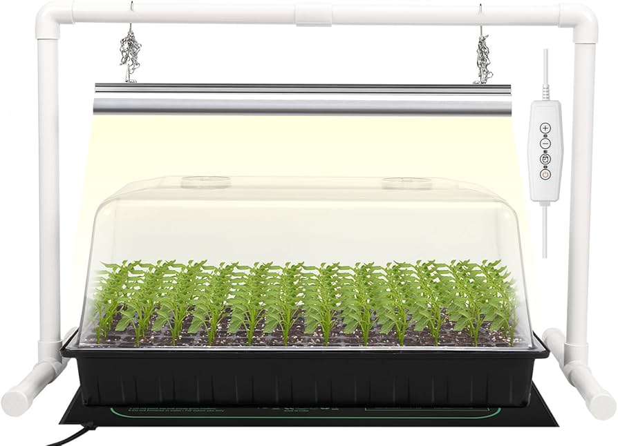 A real photo of small nursery pots on a heating mat with a clear humidity dome in a bright indoor room