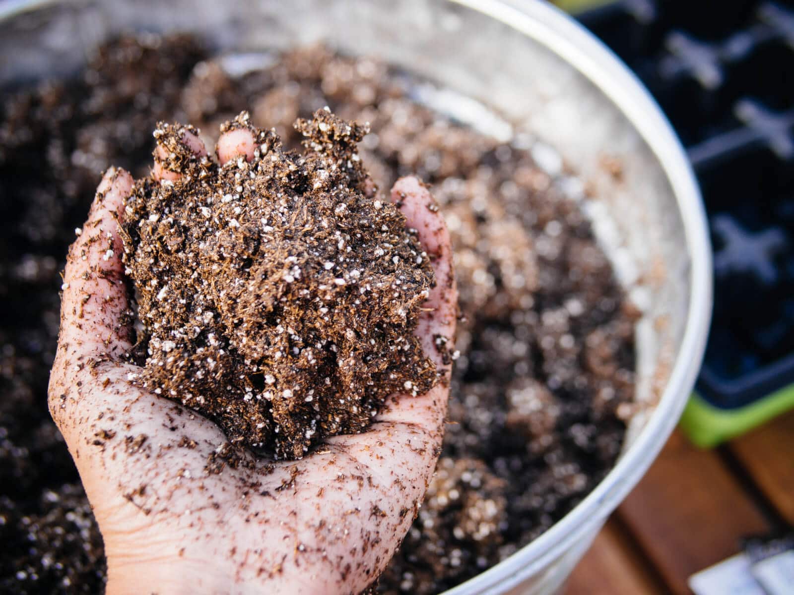A real photo of small terracotta pots filled with a gritty potting mix containing visible perlite, sitting on a bright potting bench