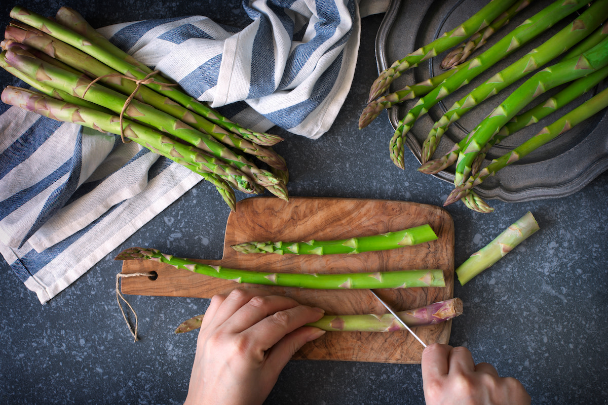 A real photograph of a hand using garden scissors to cut a thick asparagus spear at the soil surface in a home garden bed