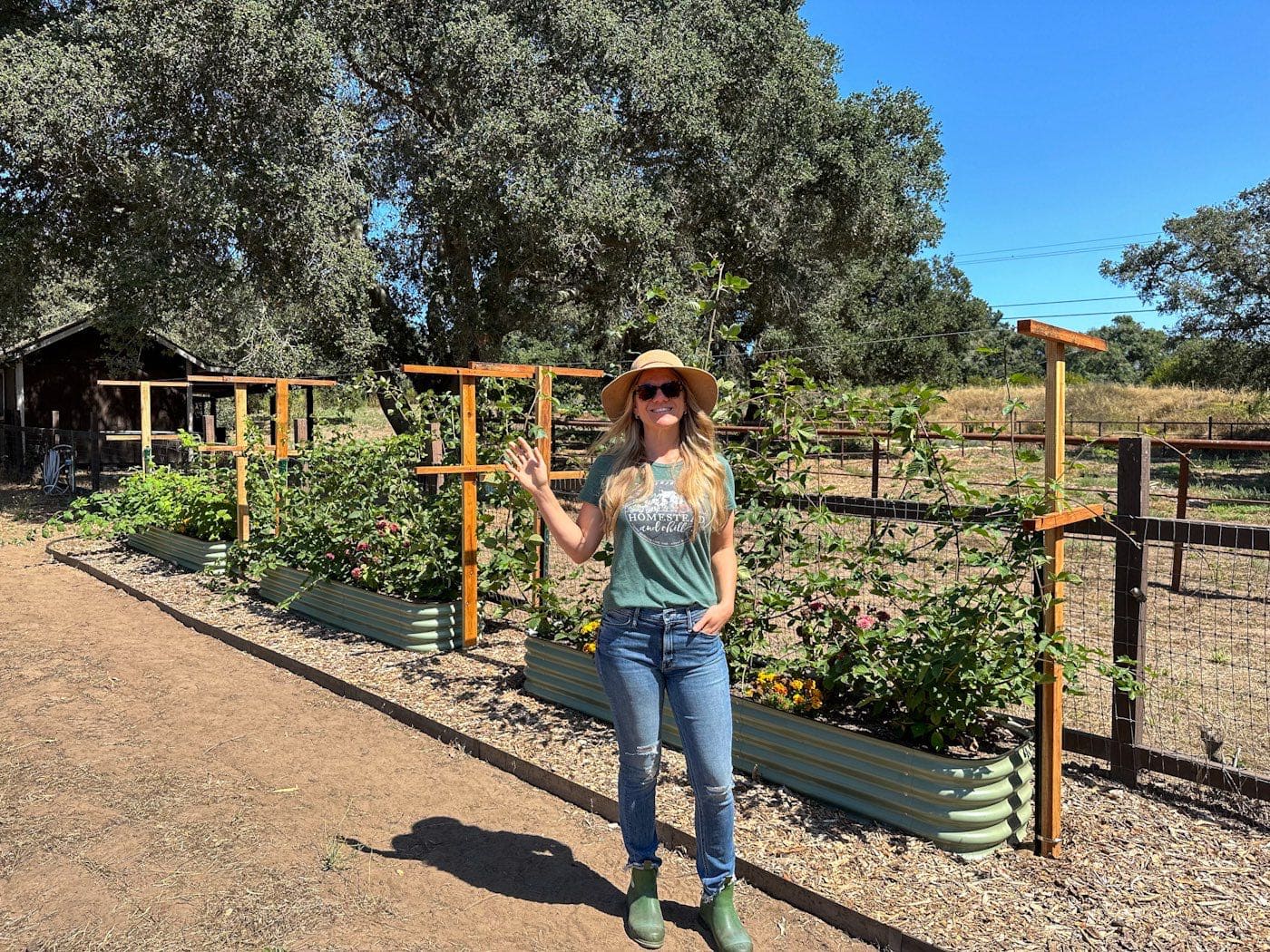 A real photograph of blackberry canes neatly tied with soft plant ties to a small trellis on a patio, with a large pot and outdoor furniture in the background
