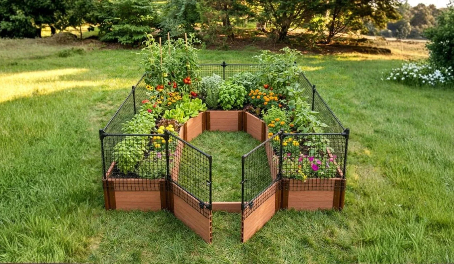 A real raised garden bed with a sheet of quarter-inch hardware cloth pinned over freshly seeded soil, photographed in afternoon sunlight