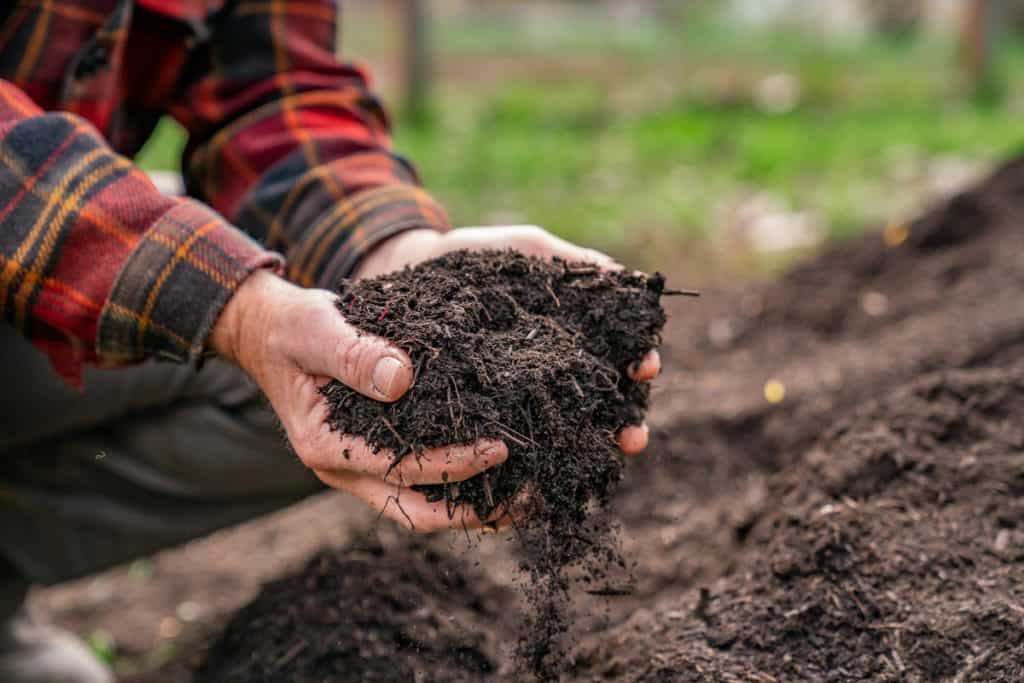 Close-up of two hands holding a mound of dark finished compost with a crumbly texture, outdoors in soft natural light, photorealistic