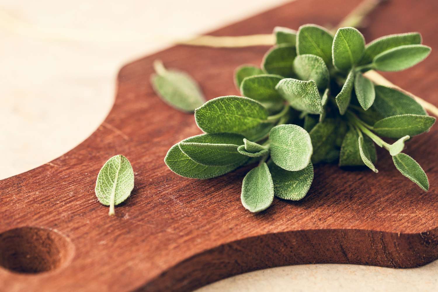 Freshly harvested sage stems and leaves resting on a wooden cutting board in natural window light, real photograph