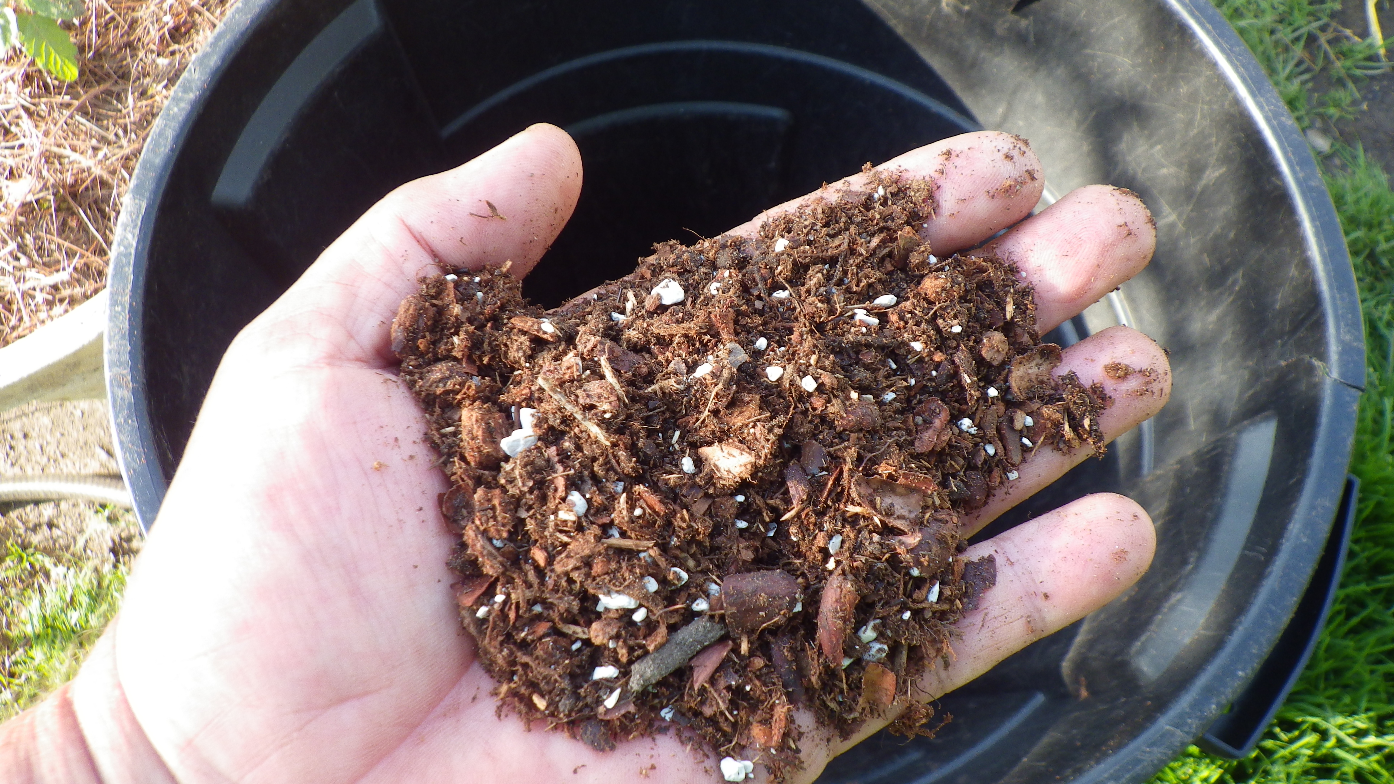 Hands in gardening gloves mixing pine bark fines, perlite, and compost in a wheelbarrow, real photograph