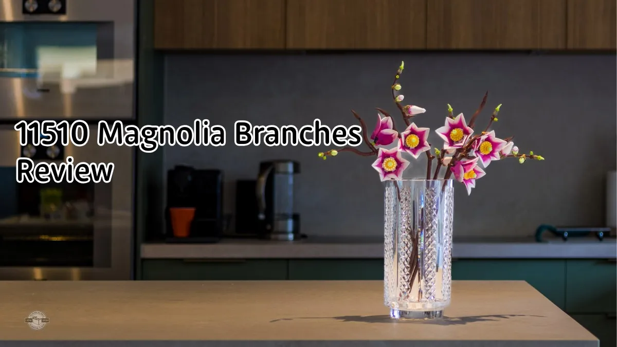 Tall magnolia branches with fuzzy buds arranged in a large clear floor vase near a bright window, minimalist home photography style