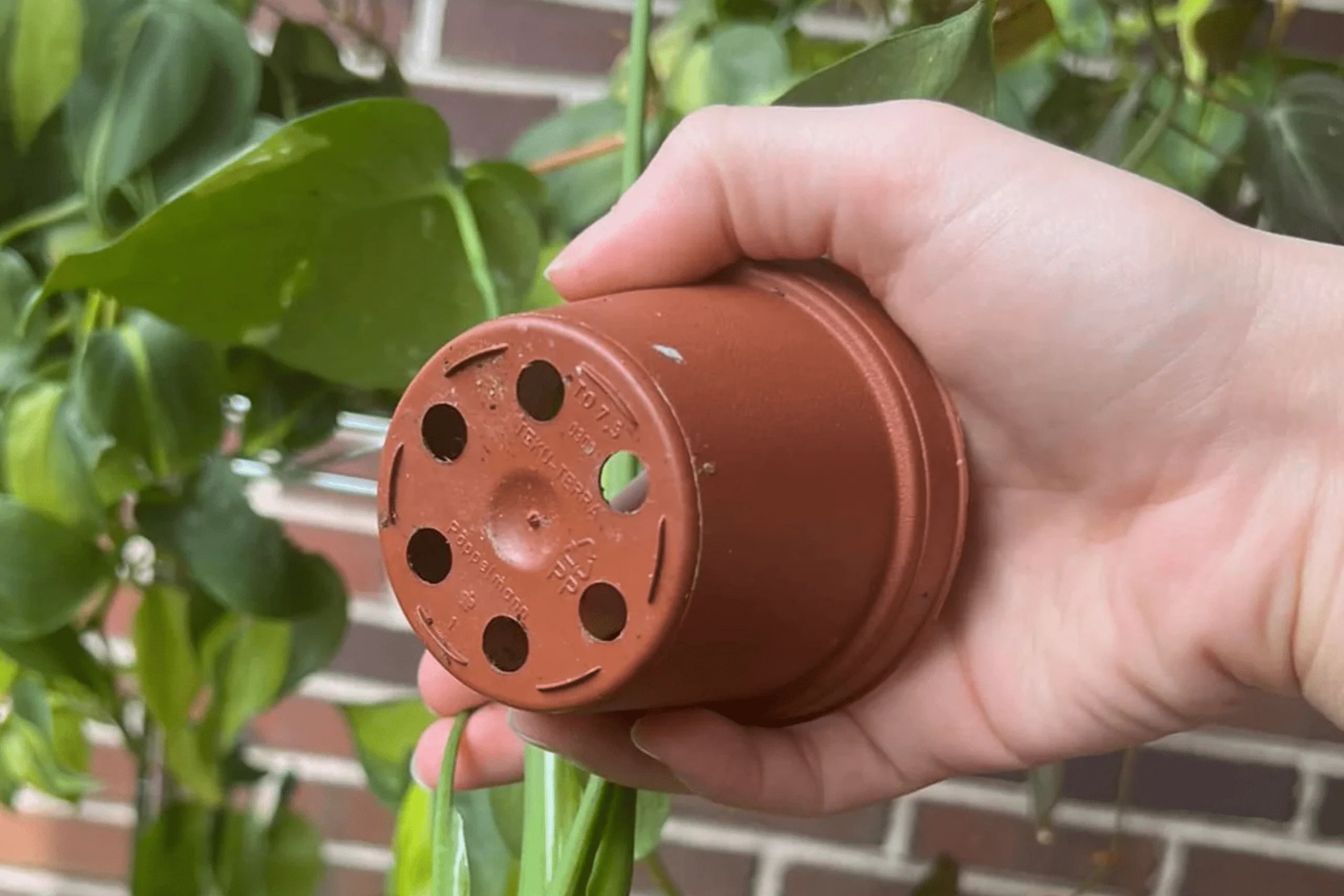 The bottom of a large outdoor planter showing multiple drainage holes and coarse potting mix inside